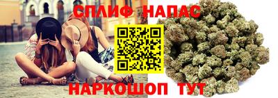 МДПВ Заволжье