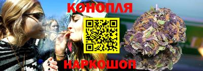 PSILOCYBIN Заводоуковск